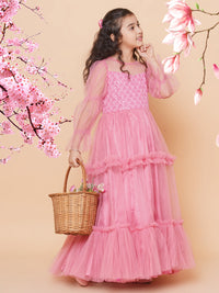 Thumbnail for Girls Pink Embroidered Net Fit & Flared Gown Dress for Kids - Bhama - Distacart