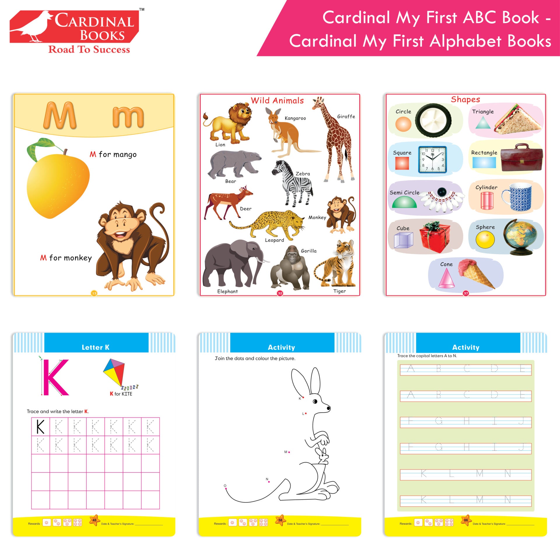 Alphabet Sorting Tray with Lid - Ajax Scientific Ltd