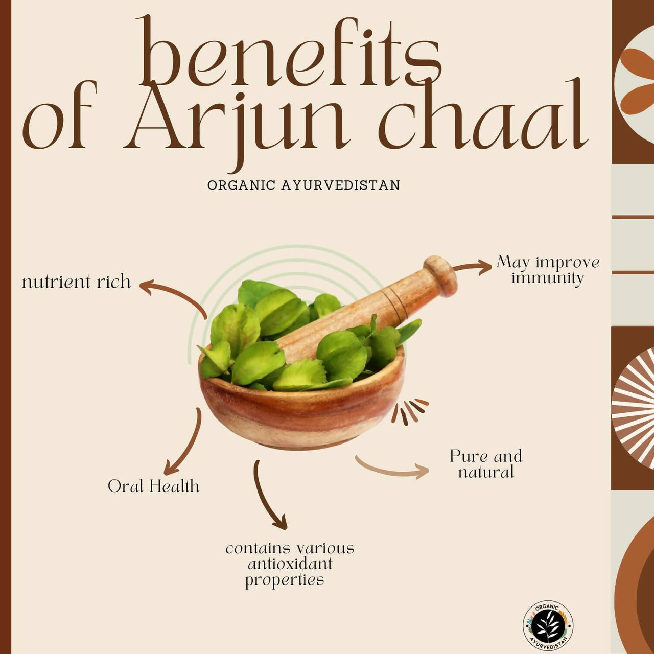 Organic Ayurvedistan Arjun Chaal Powder - Distacart