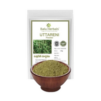 Thumbnail for Balu Herbals Apang Seeds (Uttareni Ginjalu) Powder - Distacart