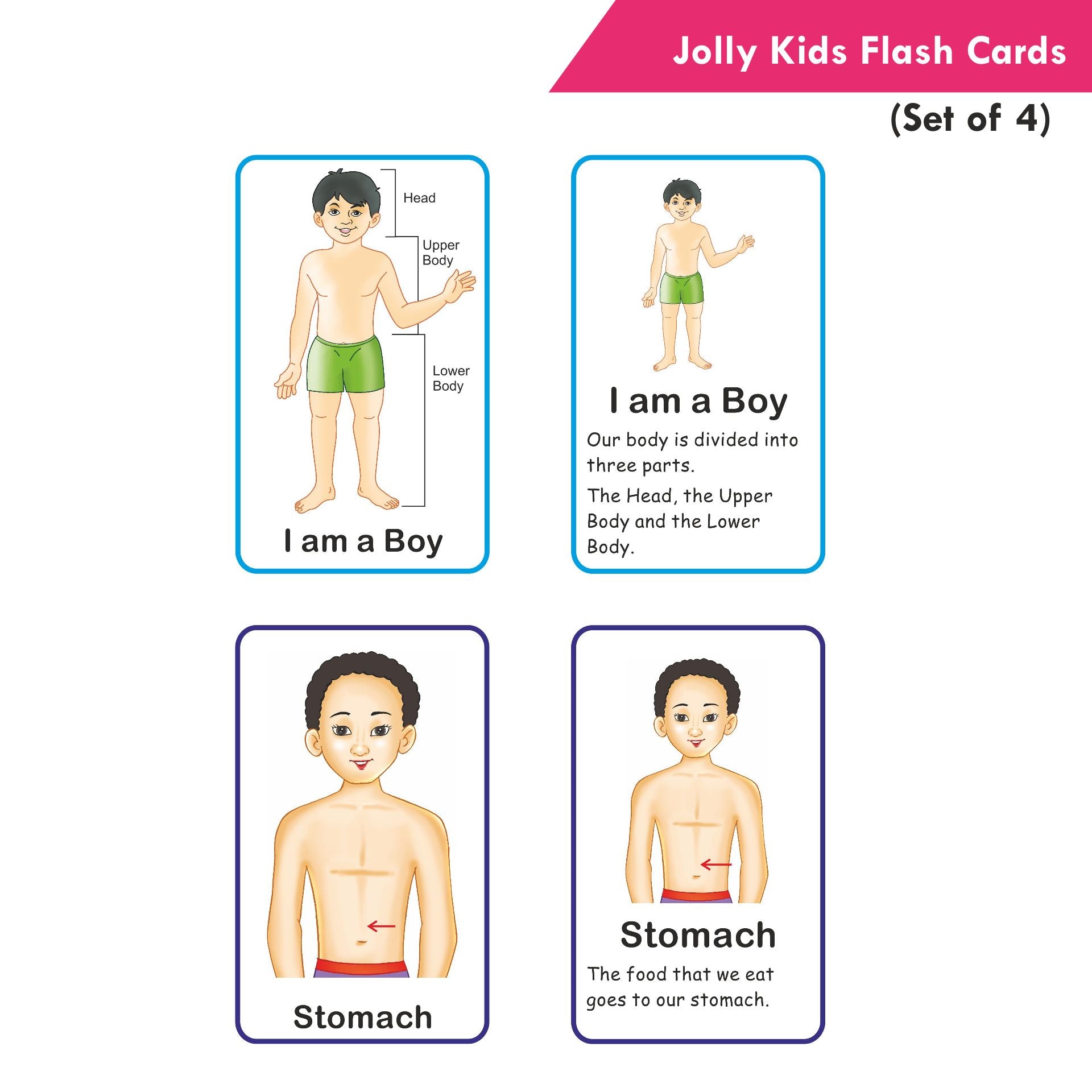 Jolly Kids Flash Cards – Fruits - Shethbooks