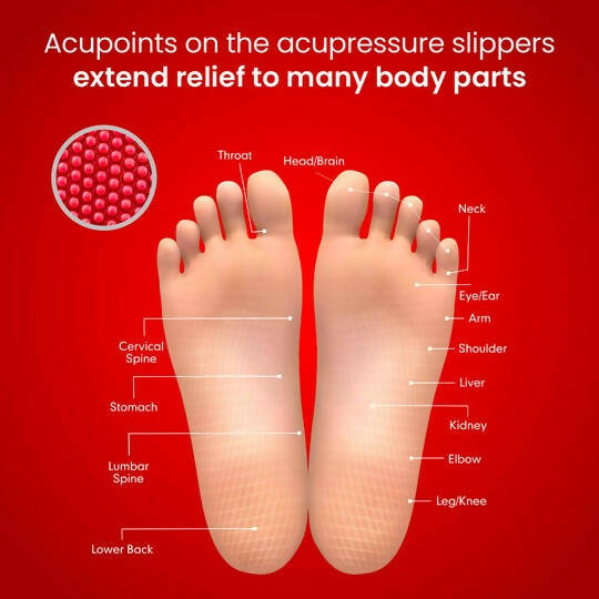 Dr. Ortho Acupressure Slippers - Distacart