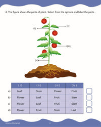 Thumbnail for Scholars Insights Science Olympiad Grade 2| Science Practical Questions in MCQ format, QMR Sheet, Self Evaluation Sheet, Test Paper| Ages 7-8 Years - Distacart