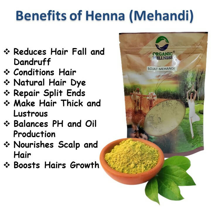 100% Natural Henna Powder for Hair (227g / (1/2 Lb) / 8 Ounces) - from  Rajasthan India - Walmart.com