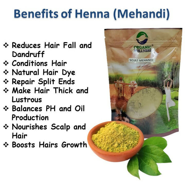 Buy Ozone Henna Hair Conditioner |Men & Women | Ideal For Strong and  Damaged Hair ,Shine & Nourish | Enriched with Bhringraj, Amla & Reetha |  Paraben, Chemical & Sulphate Free -