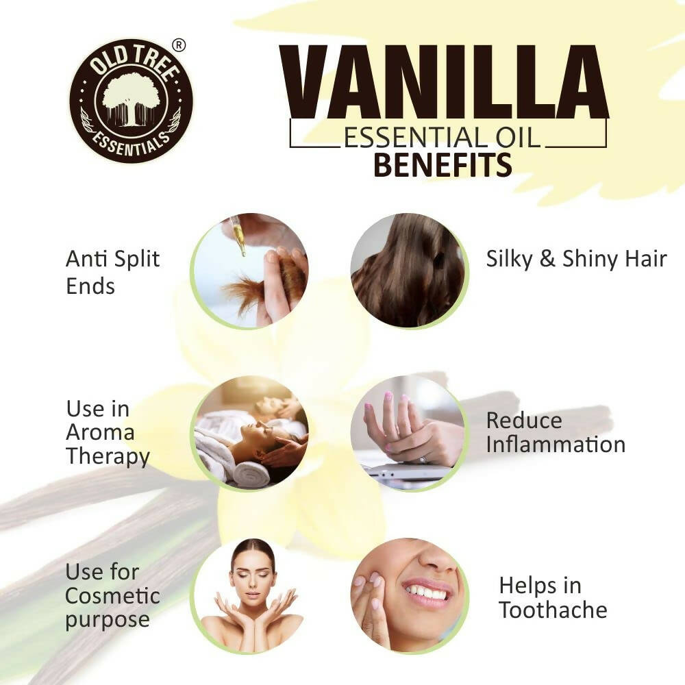 Buy Old Tree Vanilla Essential Oil Online at Best Price