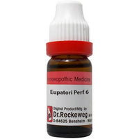 Thumbnail for Dr. Reckeweg Eupatorium Perfoliatum Dilution - Distacart