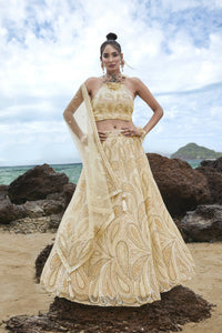 Thumbnail for House of Panchhi Cream Net Multi Sequins with heavy Zarkan embroidery Lehenga choli & Dupatta - Distacart