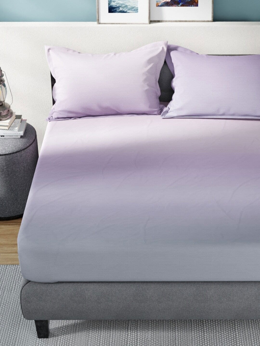 Nautica Purple Geometric 160 TC King Bedsheet with 2 Pillow Covers - Price  History