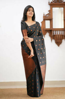 DEIANA'S Beautiful Golden Jari with New Design Soft Lichi Silk Saree - Black - Distacart