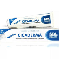 Thumbnail for SBL Homeopathy Cicaderma Ointment - Distacart