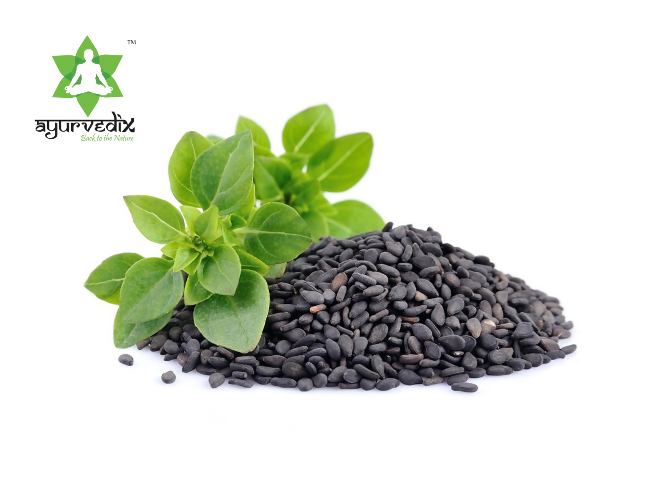 Buy Ayurvedix Nutritious Basil Seeds Online at Best Price Distacart