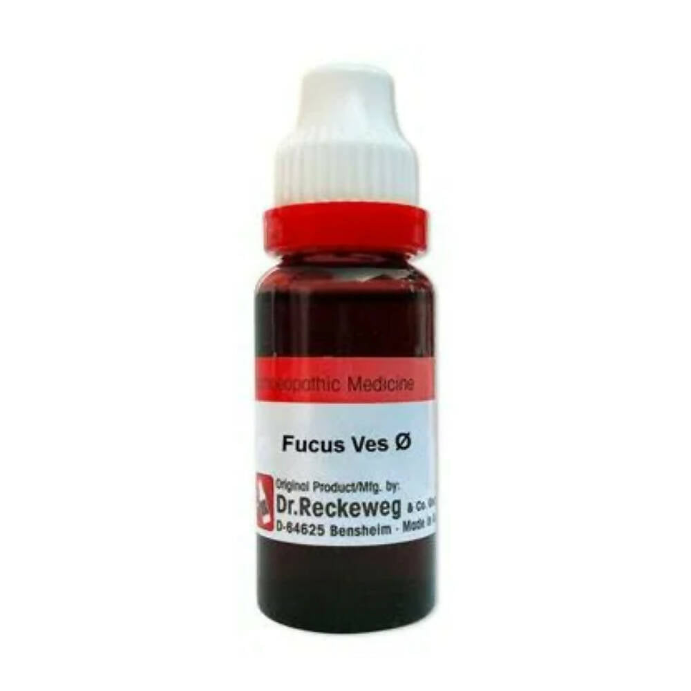 Dr. Reckeweg Fucus Vesic Mother Tincture Q - Distacart