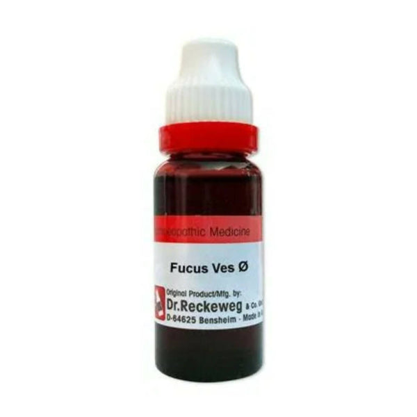 Dr. Reckeweg Fucus Vesic Mother Tincture Q - Distacart