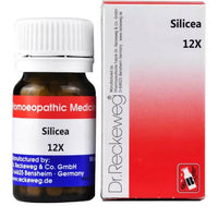 Thumbnail for Dr. Reckeweg Silicea Biochemic Tablets - Distacart