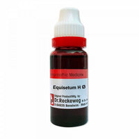 Thumbnail for Dr. Reckeweg Equisetum H Mother Tincture Q