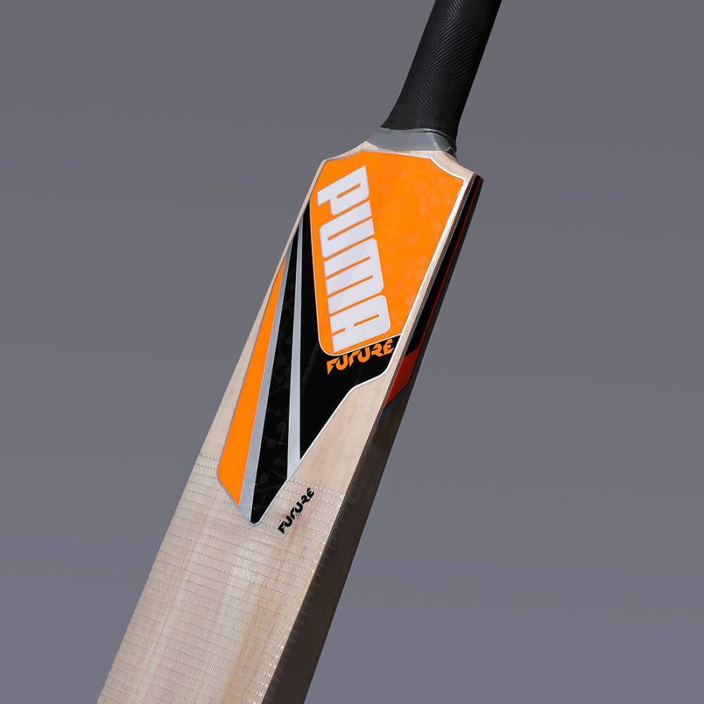 Buy Puma Future Kashmir Willow Cricket Bat Online at Best Price | Distacart