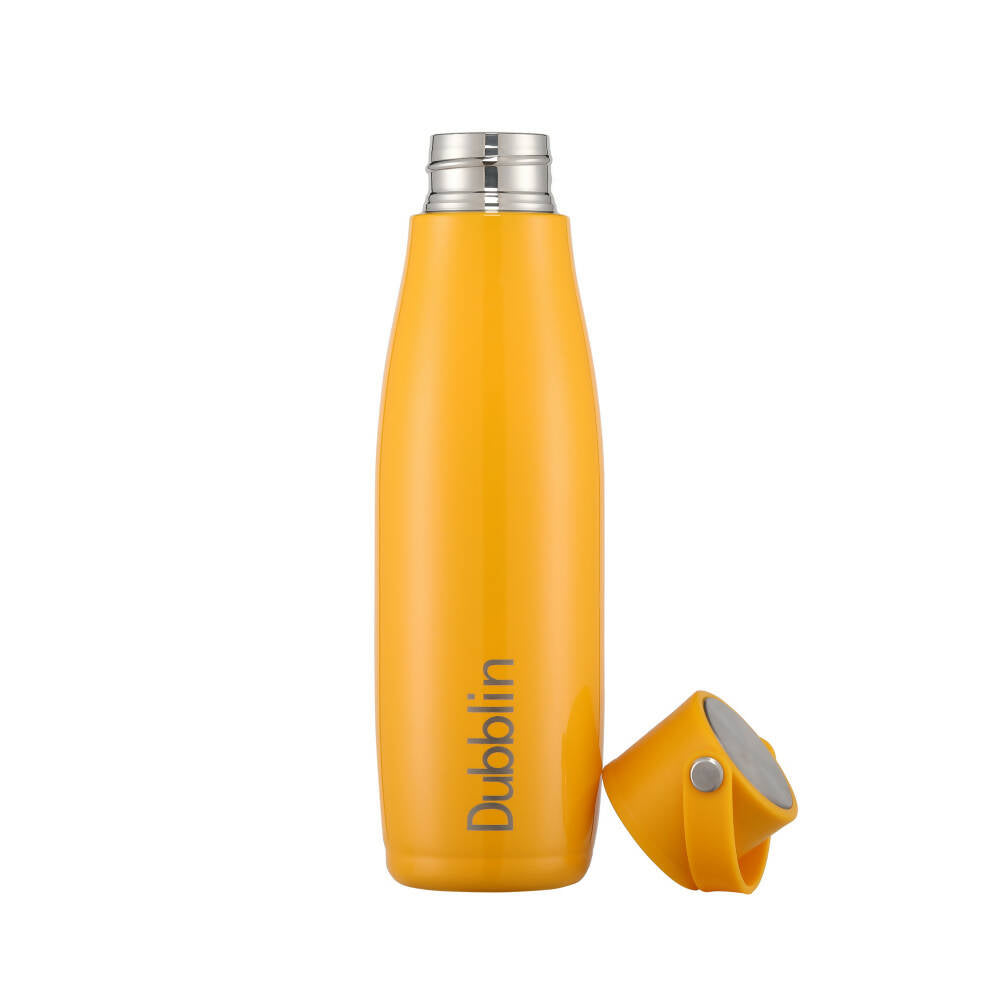 Buy Dubblin Kiwi Vacuum Bottle Online at Best Price